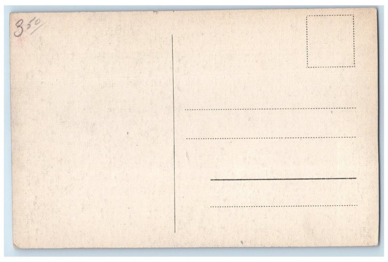 c1910 Monte Palace Hotel Lake Madeira Portugal Antique Posted Postcard