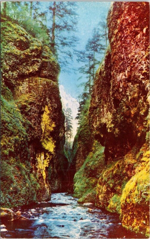 Oneonta Gorge Columbia River Highway Oregon Scenic Landscape Chrome Postcard 