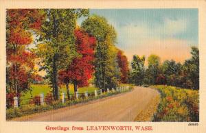 Leavenworth Washington Scenic Roadway Greeting Antique Postcard K86386