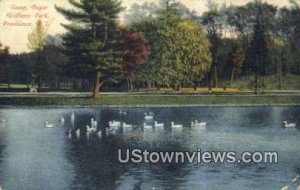 Geese, Roger Williams Park - Providence, Rhode Island RI  