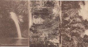 Bamboos Blue Basin 3x Trinidad Antique Postcard s