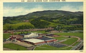 American Bemberg Plant - Elizabethton, Tennessee TN  