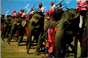 VINTAGE CONTINENTAL SIZE POSTCARD BATTLE OF ELEPHANTS REENACTMENT SURIN INDIA