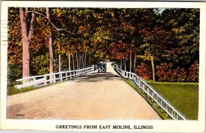 Postcard ROAD SCENE East Moline Illinois IL AO4935