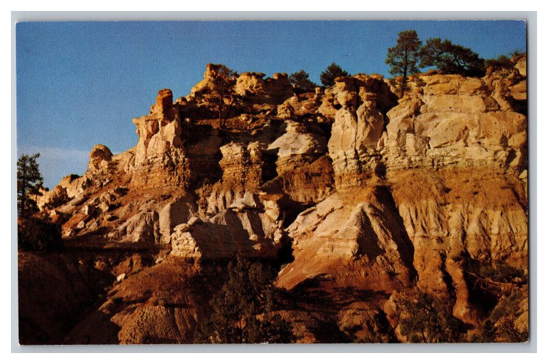 Postcard WY Big Horn Mountains Wyoming 