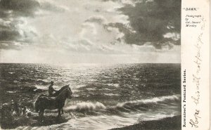 Dawn. Horses Old vintage Çenglish postcard