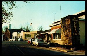 1960s The Original Curio Shop Main Street Nashville IN Postcard