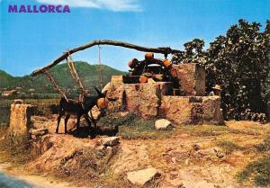 BG35405 mallorca donkey noria tipica spain