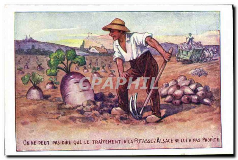 Old Postcard Advertisement Processing potash d & # 39Alsace