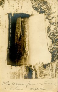 MA - Monterey. Lake Garfield from Maple Rise.  *RPPC