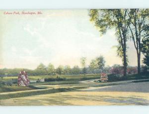 Unused Divided-Back PARK SCENE Skowhegan - Near Waterville Maine ME H2627