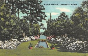 Tallahassee, FL Florida   KILLEARN GARDENS~Route 319  FLOWERS  ca1940's Postcard