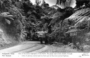 MANGAMUKA GORGE NEW ZEALAND-MILES OF NATIVE BUSH~1960s PHOTO POSTCARD*