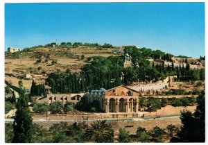 Jordan 1964 Unused Postcard Jerusalem Garden of Gethsemane