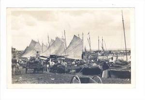 LP44  Panama, Canal Zone,  Real Photo postcard, Along the 