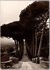 Albano Viale Di Pini Italy Tree-Lined Pathway Real Photo RPPC Postcard