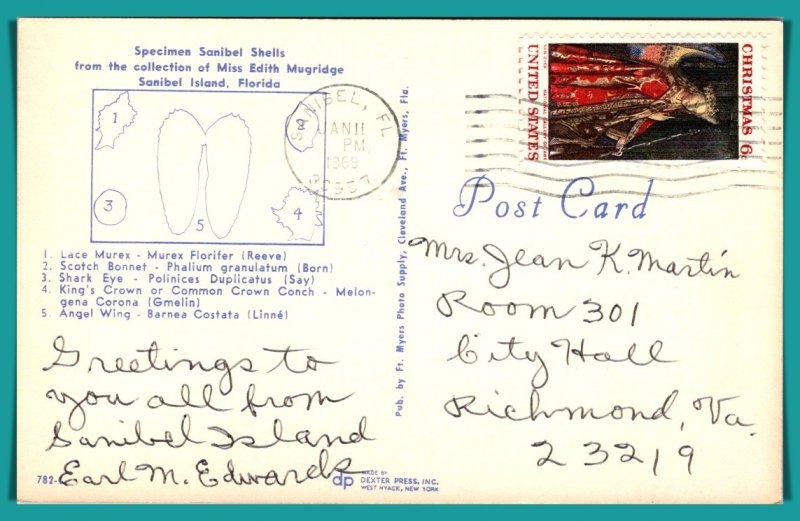 Florida, Sanibel Island - Specimen Sanibal Shells - [FL-855]