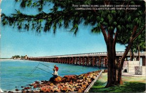 Courtney Campbell Parkway Clearwater Tampa Florida Scenic DB Cancel WOB Postcard 