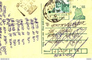 India Postal Stationery Tiger 25 Jaipur cds