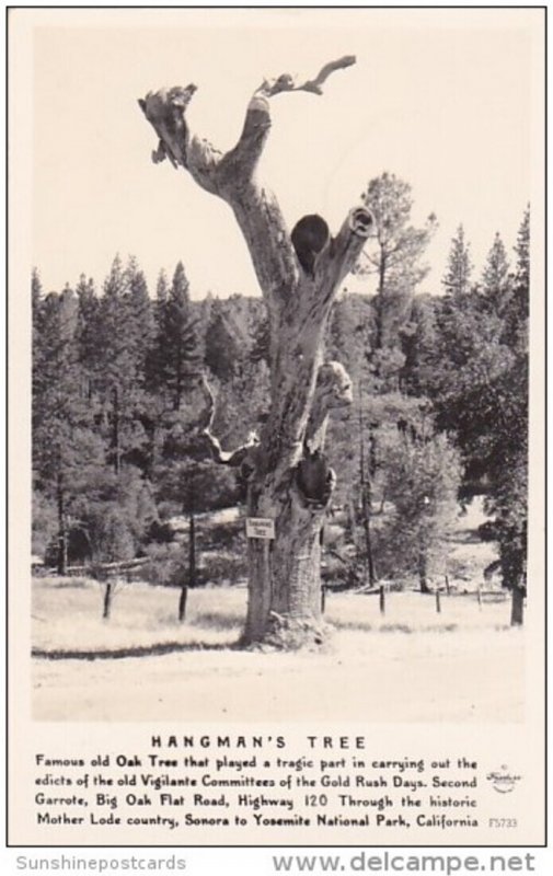 Hangman's Tree Yosemite National Park California Real Photo