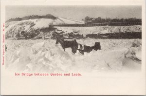 Ice Bridge between Quebec City & Levis QC Que Horse Sled Postcard H12 *as is