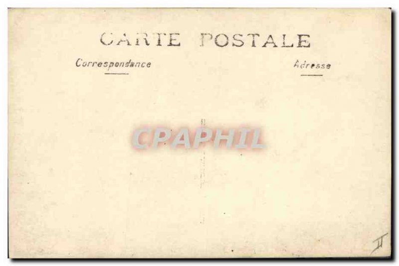 Old Postcard Cat Cats Kitten