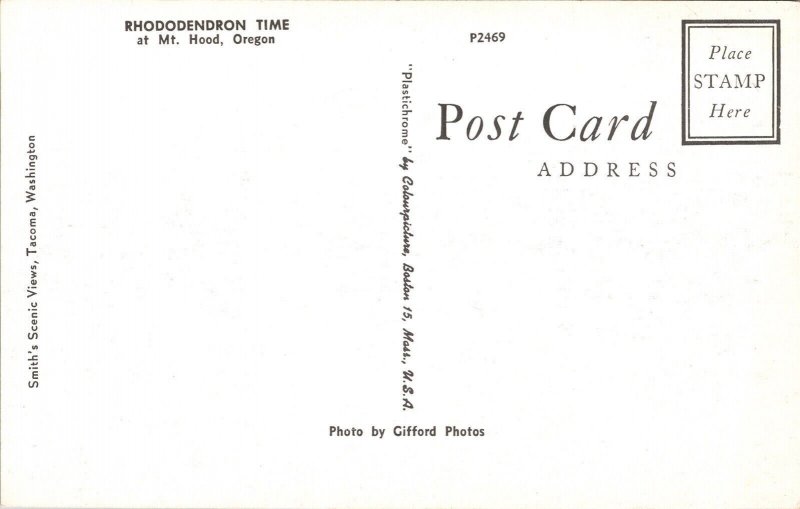 Rhododendron Time Mt Hood Oregon OR Postcard VTG UNP Plastichrome Vintage Unused 