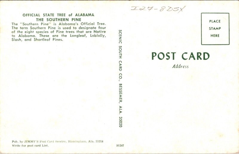 State Tree Alabama AL Southern Pine Trees Postcard VTG UNP Vintage Unused Chrome 