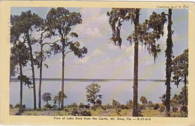 Florida Mount Dora View Of Lake Dora From The Castle 1949 Dexter Press