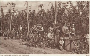 TUNBRIDE WELLS , UK , 1910s ;  Hop-Pickers