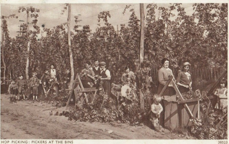 TUNBRIDE WELLS , UK , 1910s ;  Hop-Pickers