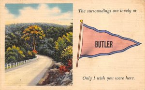 Butler Pennant postal used unknown, missing stamp 