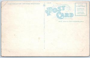 WINNIPEG BEACH, MANITOBA  Canada  EMPRESS HOTEL & Beach ca 1910s Postcard