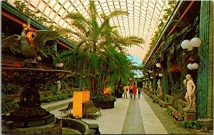 Florida Clearwater The Kapok Tree Inn The Mall 1973