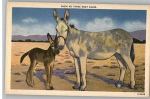 Linen Postcard-When We Meet Again..Donkeys/Mules