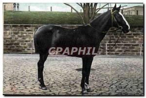 Old Postcard Equestrian Horse Riding