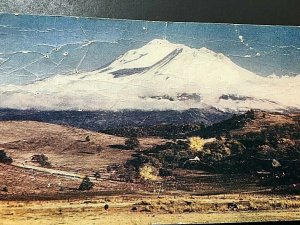 Postcard  Early Autumn View of Mount Shasta in Northern  CA. aa1