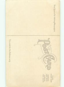 Divided-Back BEAUTIFUL FLOWERS SCENE Great Postcard AA2877