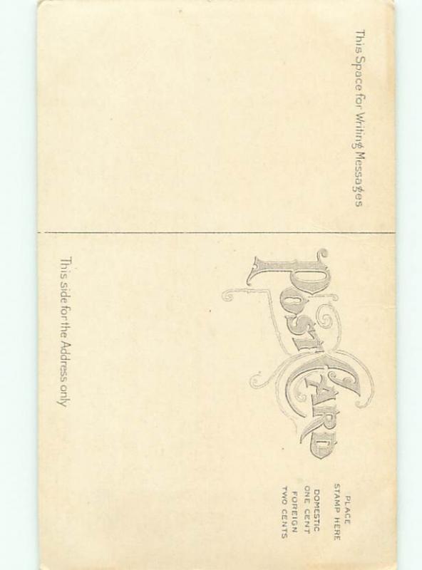 Divided-Back BEAUTIFUL FLOWERS SCENE Great Postcard AA2877