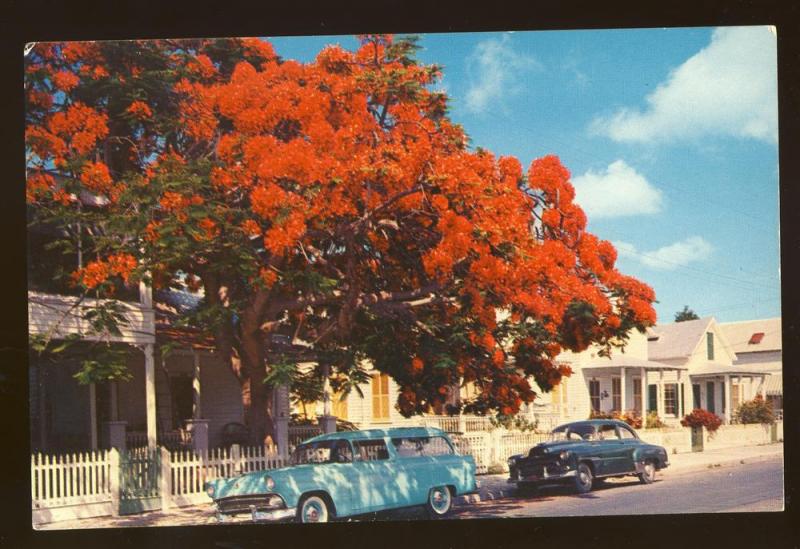 Key West, Florida/FL Postcard, Old Cars On Street, 1950's?