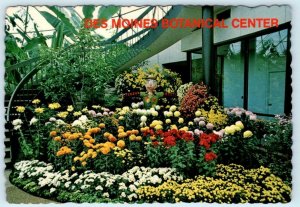 DES MOINES, Iowa IA ~ Chrysanthemums BOTANICAL CENTER c1970s 4x6 Postcard*