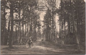 Netherlands Bussum Naarden Vintage Postcard 09.07