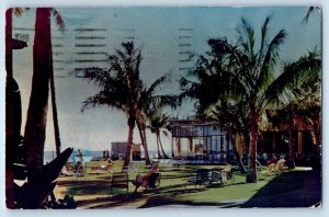 1950 Honolulu Hawaii Vintage Postcard Garden Royal Hawaiian Waikiki Beach Amidst