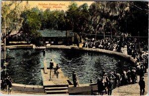 Postcard SWIMMING POOL SCENE Tampa Florida FL AL3461