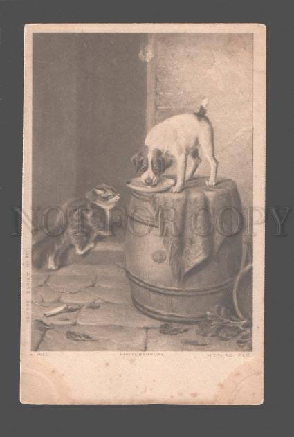 080510 Hungry JACK RUSSELL TERRIER & KITTEN by HILL vintage PC