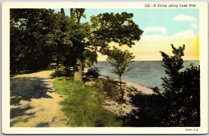 Ohio OH, Drive along Lake Erie, Driveway, Pathway, Nature View, Vintage Postcard