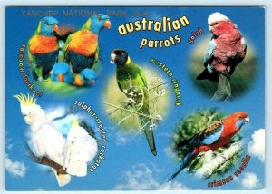 3 Postcards YANCHEP NATIONAL PARK, Western Australia ~ EMU Parrots Flowers 4x6