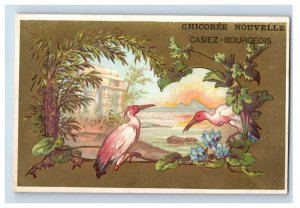 1880s French Coffee Chicoree Nouvelle Colorful Wild Birds Set Of 6 F160