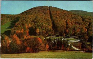 Postcard PARK SCENE Sunapee New Hampshire NH AM0053