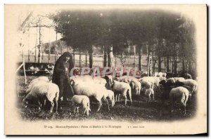 Old Postcard Folklore Hautes Pyrenees Patre and sheep has the mountain